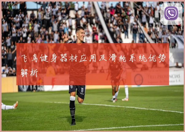 飞鸟健身器材应用及滑轮系统优势解析