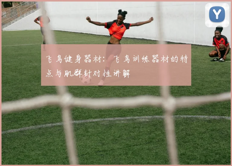飞鸟健身器材：飞鸟训练器材的特点与肌群针对性讲解