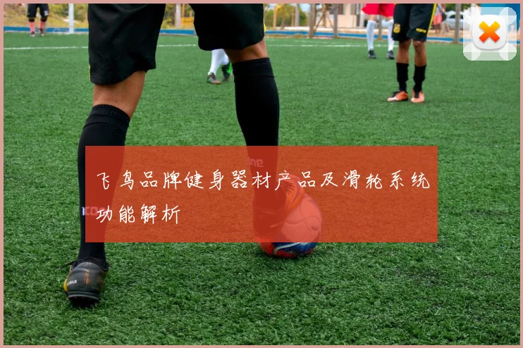 飞鸟品牌健身器材产品及滑轮系统功能解析