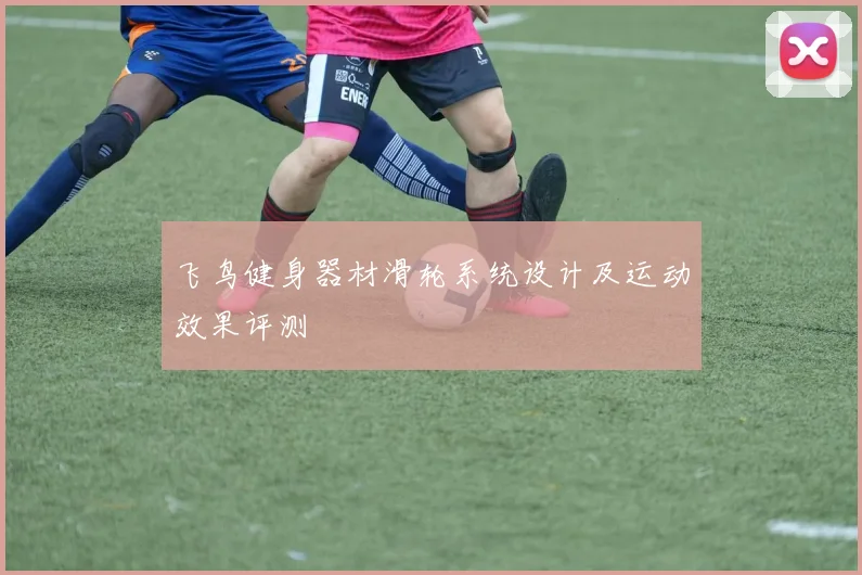 飞鸟健身器材滑轮系统设计及运动效果评测