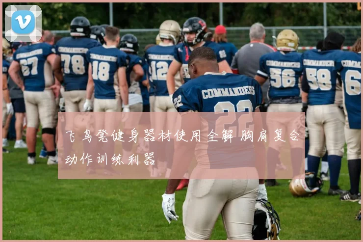 飞鸟凳健身器材使用全解 胸肩复合动作训练利器